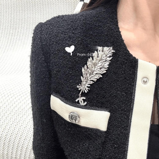 小香 胸针。耳环 商品图3