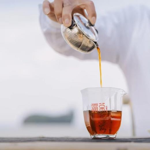 霸茶 古熟小圆环 8g*10片/盒 厂家直发 商品图3