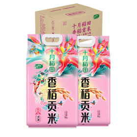 十月稻田 香稻贡米 东北大米 5kg*2/箱装 香米 粳米 10kg 20斤 /粮油调味 /米 /小町米