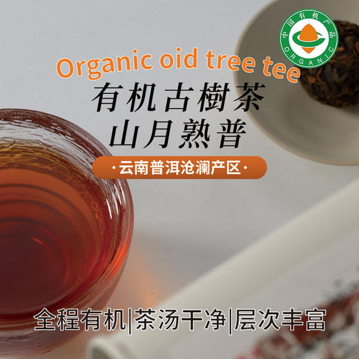 云南有机古树茶龙珠试饮装|4粒【有机白茶/有机生普/有机红茶/有机熟普】（限购2袋） 商品图2