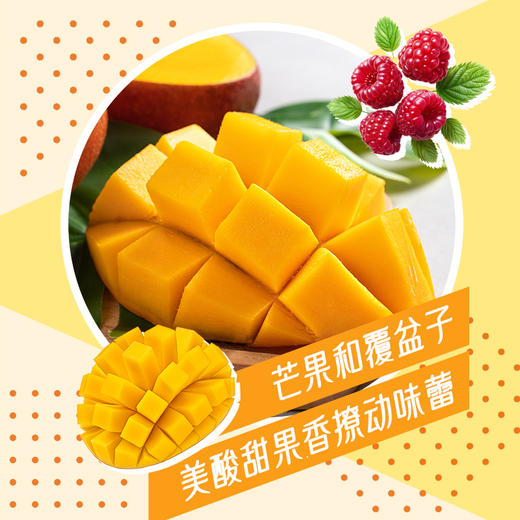 HAAGEN-DAZS冰淇淋系列全家桶进口多口味460ml*4 商品图11