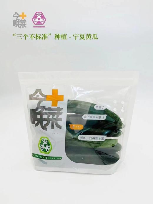 宁夏沙漠水果黄瓜 商品图0