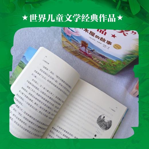 纽伯瑞儿童文学大奖作品-5册 （世界儿童文学经典作品集锦) 商品图3