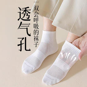 【超值6双装】美尘May C 百棉直角高橡筋袜男款/女款 舒适透气 弹力袜口