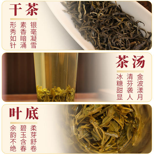 【绿茗】茉莉花合集茉莉香美人金毫灵芽 商品图3