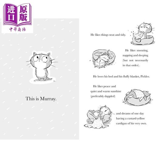 【中商原版】穆雷和布恩 2册 Murray and Bun Murray the Pirate / Viking 英文原版 儿童搞笑冒险故事书 幽默小说 进口童书 商品图1