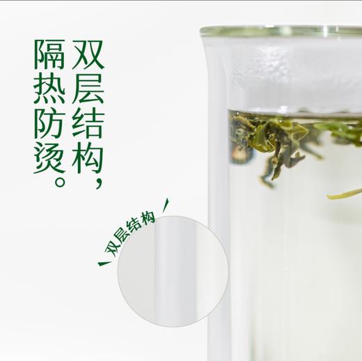 2025年新品小罐茶竹节杯300ML--4只装：发中通快递 商品图5