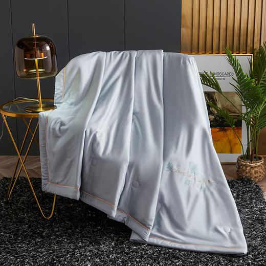 御景天丝被BJRB511 200x230cm 商品图0