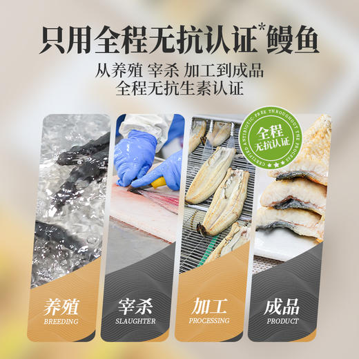 【顺丰发货 】 川鳗王 无抗白烧鳗鱼 出口同款500g/盒 商品图2