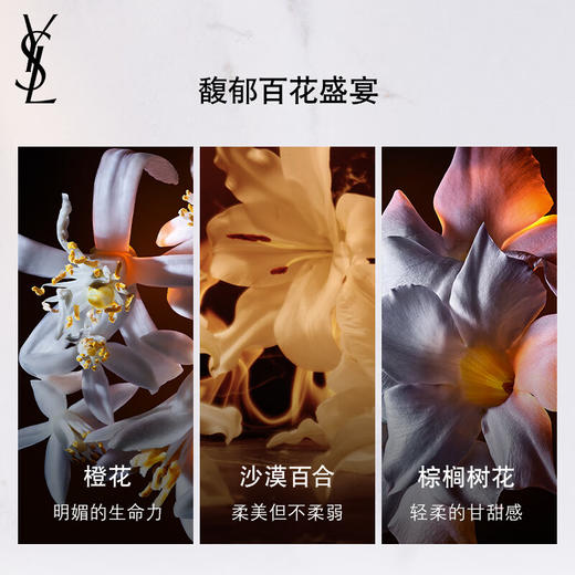 圣罗兰自由至上女士香水（沙漠百合）  50ml 商品图3
