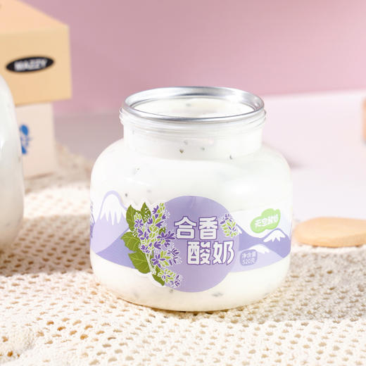 新疆悠了优乐酸奶 合香酸奶、玫瑰酸奶、原味酸奶、0蔗糖酸奶 商品图2