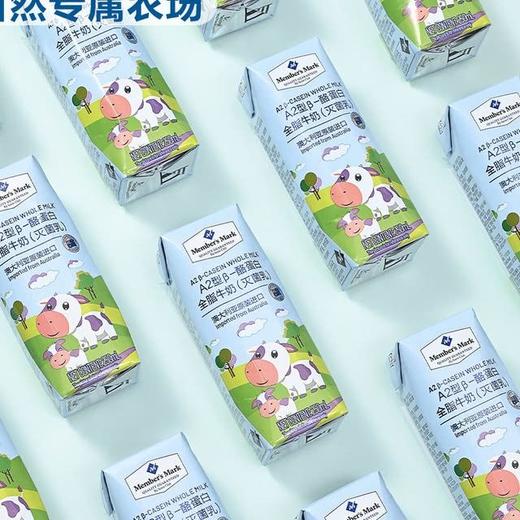 【悦惠精选】MMA2型β-酪蛋白全脂牛奶(灭菌乳)250ml 商品图1