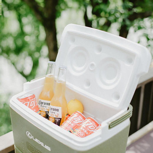 LEXUS × MOBIGARDEN保温箱 商品图3