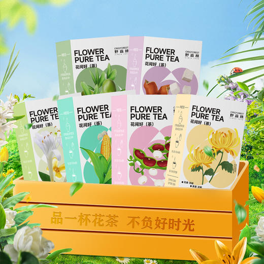 野森林降温组合方案900g 商品图5