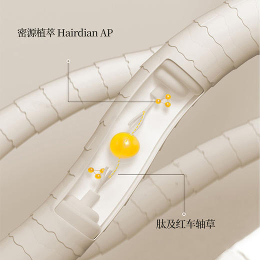 儒意黑灵芝何首乌洗发水 养发护发 清洁头皮 柔顺芳香 500g/瓶 商品图2