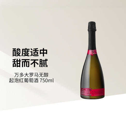  万多大罗马无醇起泡红葡萄酒750ml 商品图2