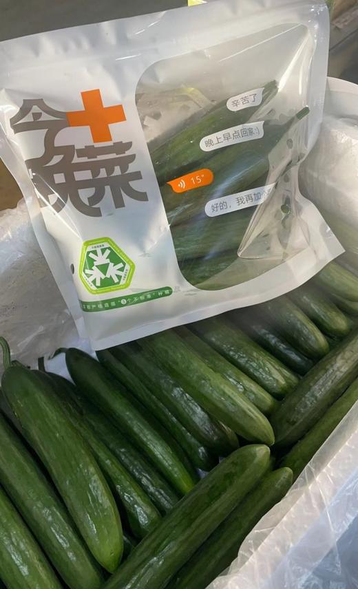 宁夏沙漠水果黄瓜 商品图7