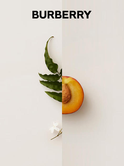 博柏利我的博柏利女士黑色香精  50ml 商品图1