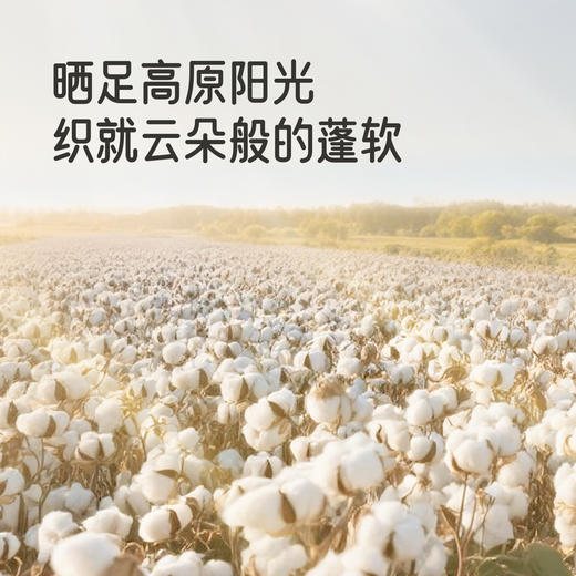 【商场同款】英氏新生儿衣服四季款婴儿连身衣长袖男宝女宝包屁衣 商品图2