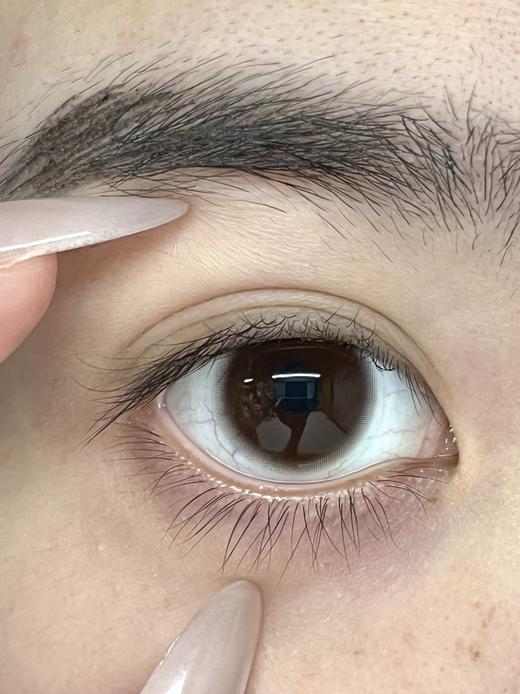 Toffee日抛--可露丽 商品图8