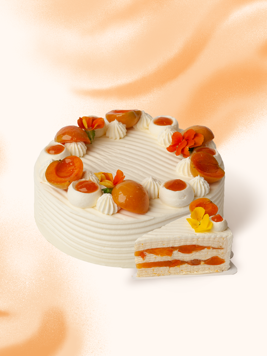 杏福千层（立即配送）