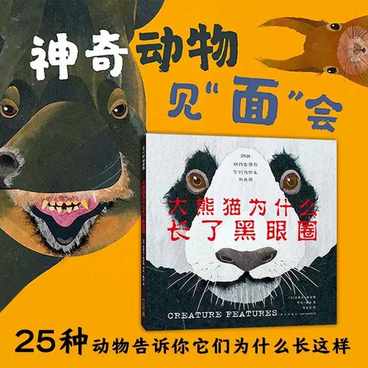 《大熊猫为什么长了黑眼圈》精装一册  3-6岁  凯迪克大奖得主史蒂夫·詹金斯作品 美国青少年图书馆协会选书  来自动物世界的脸书 商品图0