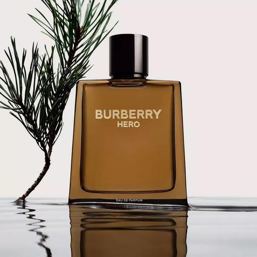 博柏利骏勇之心男士香水  50ml 商品图2