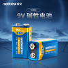6LR61 9V碱性电池 商品缩略图0