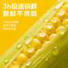 率鲜达 东北黄糯玉米棒真空包装黏糯新鲜低脂送礼早餐年货送礼10根四斤 /粮油调味 /杂粮 /谷米类 商品缩略图1