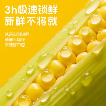 率鲜达 东北黄糯玉米棒真空包装黏糯新鲜低脂送礼早餐年货送礼10根四斤 /粮油调味 /杂粮 /谷米类 商品图1