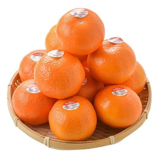 看得见的放心沃柑 商品图3