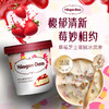HAAGEN-DAZS冰淇淋系列全家桶进口多口味460ml*4 商品缩略图0