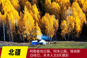 8月1日【北疆】阿勒泰向日葵、阿禾公路、喀纳斯、白哈巴、禾木人文8天摄影
