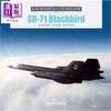 【中商原版】SR 71黑鸟 洛克希德公司的终极侦察机 英文原版 Sr 71 Blackbird Lockheeds Ultimate Spy Plane David Doyle 商品缩略图0