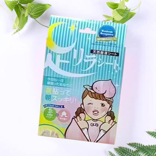 日本本土足贴中村树之惠天然树液足美人植物树叶薰衣草艾草生姜多款足贴30片/盒 商品图3