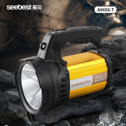 A9656-T 手提灯 商品图0