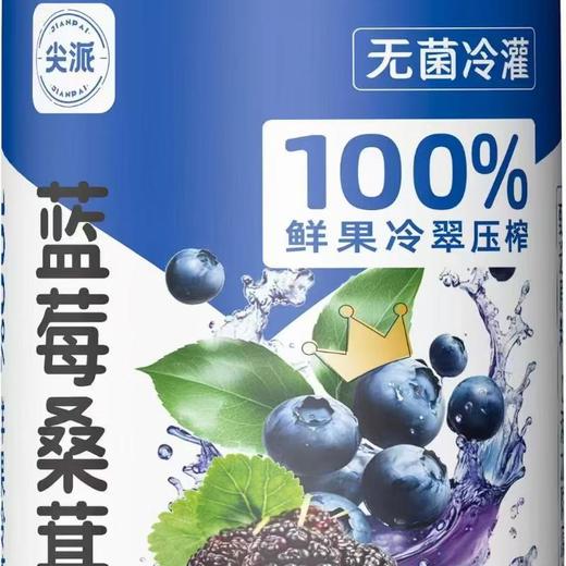 尖派蓝莓桑葚汁1L 商品图0