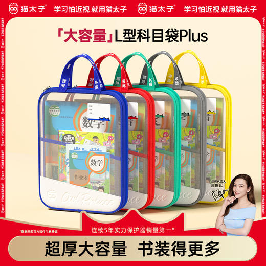 猫太子L型科目分类袋透明文件袋小学生双层网纱补习袋学科手提袋学生试卷收纳袋拉链式作业书本拎书袋子 商品图0