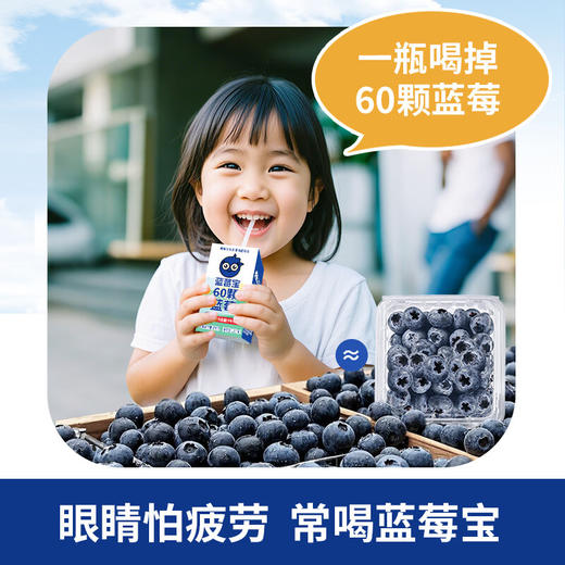蓝莓复合果汁饮品，36瓶装，鲜果采摘低温榨汁，富含花青素和叶黄素酯，口感酸甜适中，醇厚柔和，健康饮品，配料干净，“眼睛怕疲劳，常喝蓝莓宝”M 商品图3