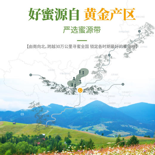 【汪氏】长白山雪蜜正宗椴树蜜 500g 商品图2