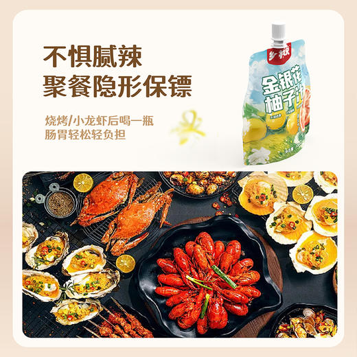 【乡村说 金银花柚子汁】108ml*12袋/提 商品图2