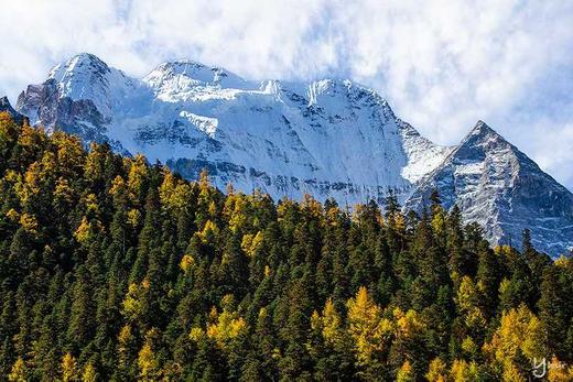 川西秋色丨牛背山云海星空+稻城亚丁8天摄影团 商品图6