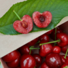 大连美早樱桃【顺丰空运】 商品缩略图4