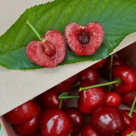 大连美早樱桃【顺丰空运】 商品图4