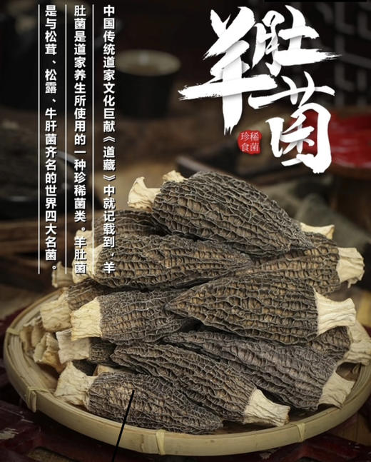 羊肚菌礼盒180g 商品图0