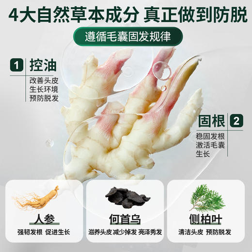 【品牌方直销】防脱植物去屑洗发水育发滋养柔顺男女士通用 商品图1