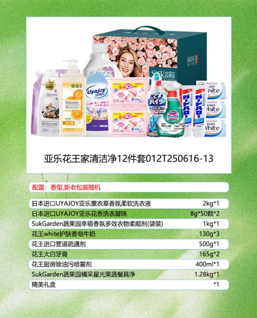 亚乐花王家清洁净12件套012T250616-13 商品图0