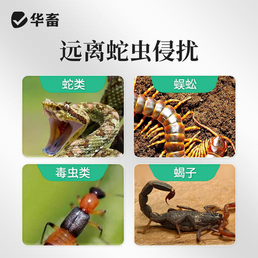 华畜驱蛇粉长效驱蛇不怕雨淋驱毒虫老鼠养殖场用 商品图1