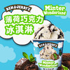 Ben&Jerry's本杰瑞巧克力布朗尼冰淇淋465mL进口香草焦糖桶装雪糕 商品缩略图5