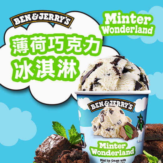 Ben&Jerry's本杰瑞巧克力布朗尼冰淇淋465mL进口香草焦糖桶装雪糕 商品图5